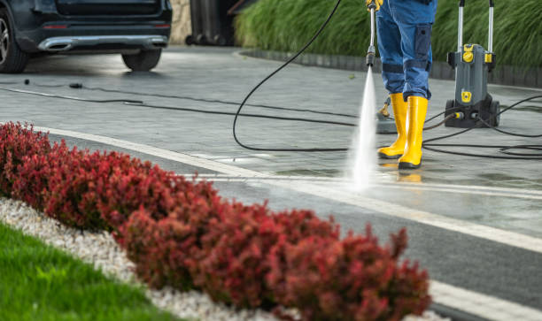 Best Fence Cleaning  in Lakeport, CA